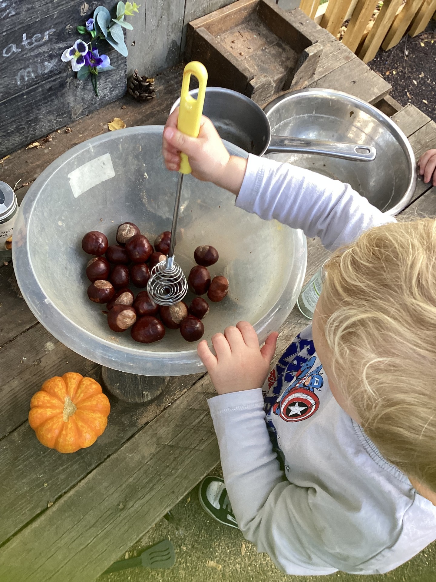 Woodland Corner – Autumn Newsletter